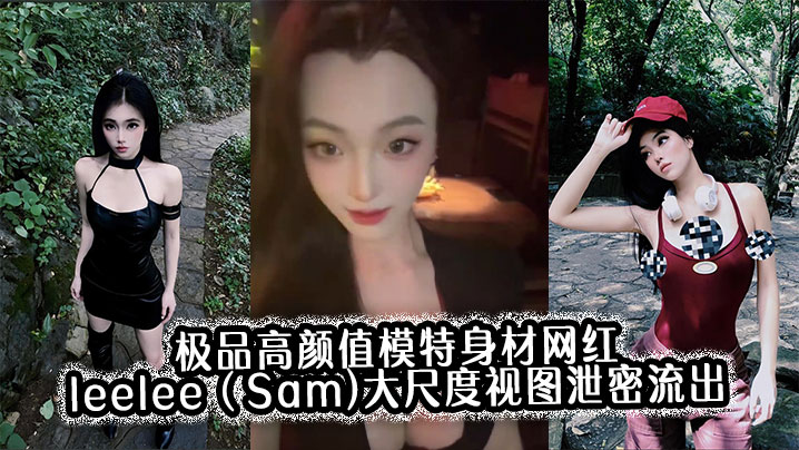 极品高颜值模特身材网红leelee(Sam)大尺度视图泄密流出